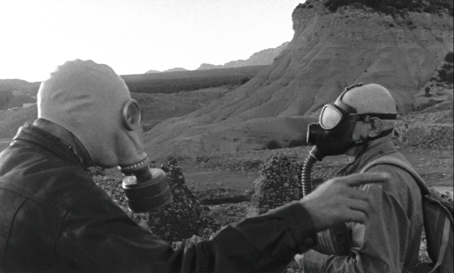 Cópia de MAM2 copia