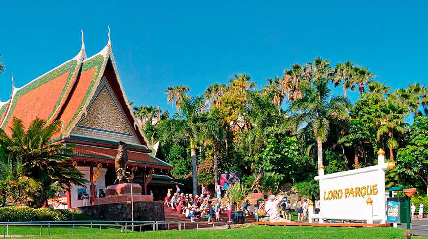 Loro Parque y Siam Park, un 2×1 para tus próximas vacaciones