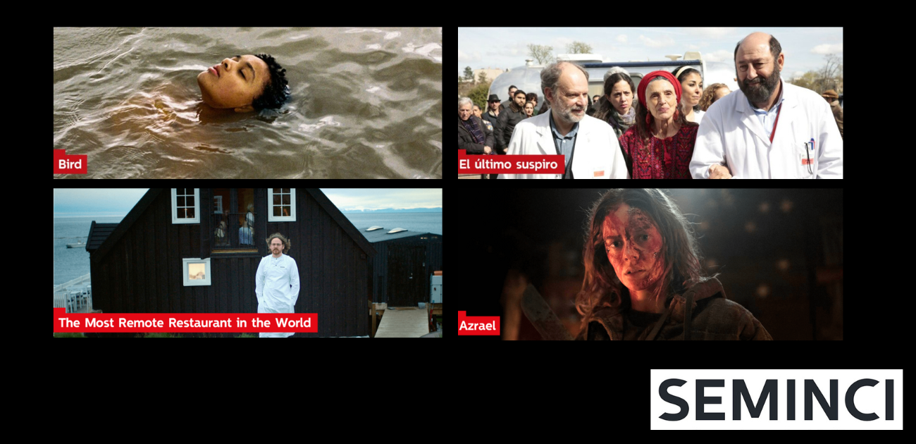 Diseño sin título - 2024-10-14T190129.621