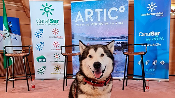 La serie documental ‘Desafío Ártico’ llegará a Canal Sur en febrero